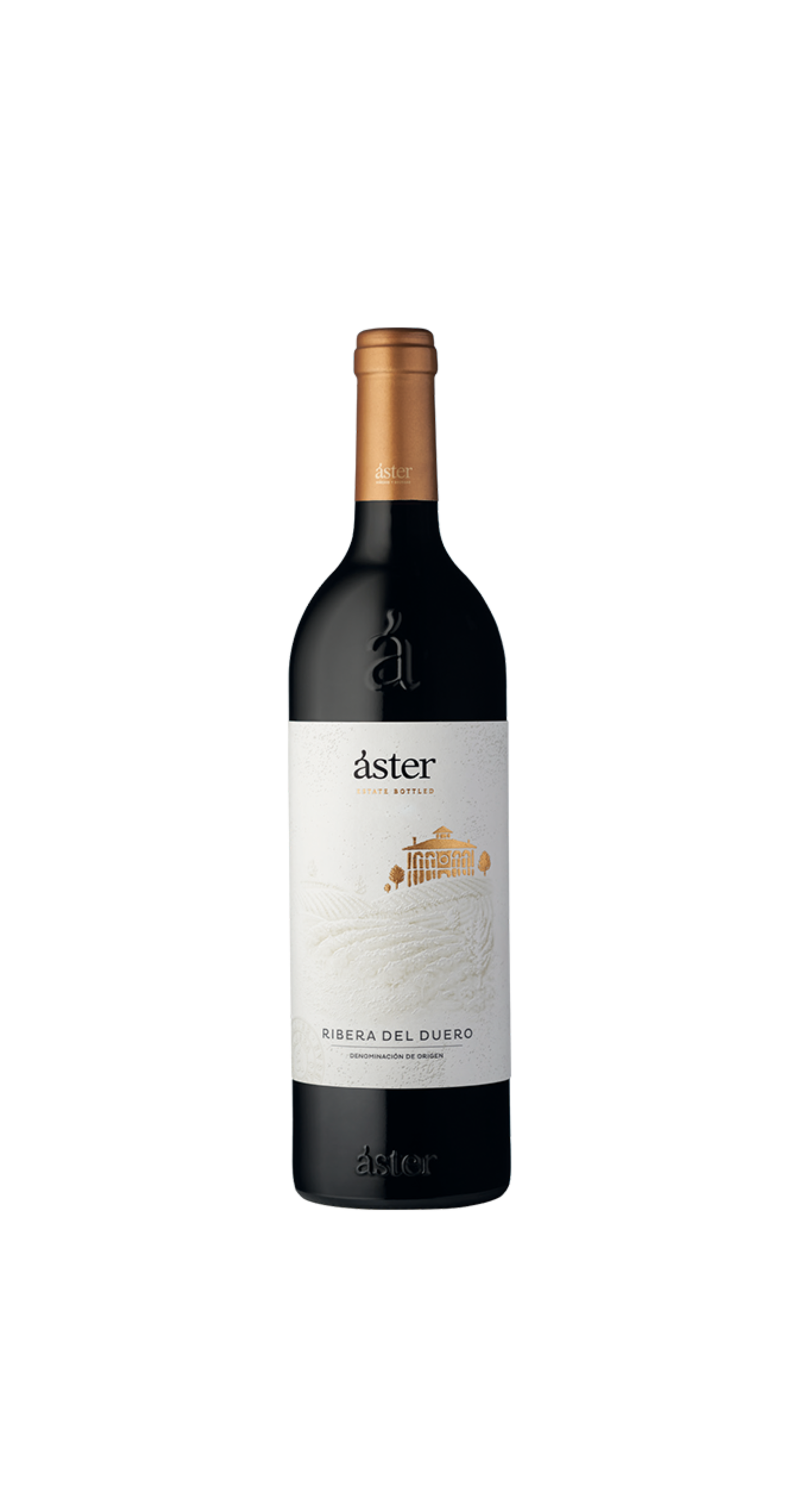 ASTER 2021