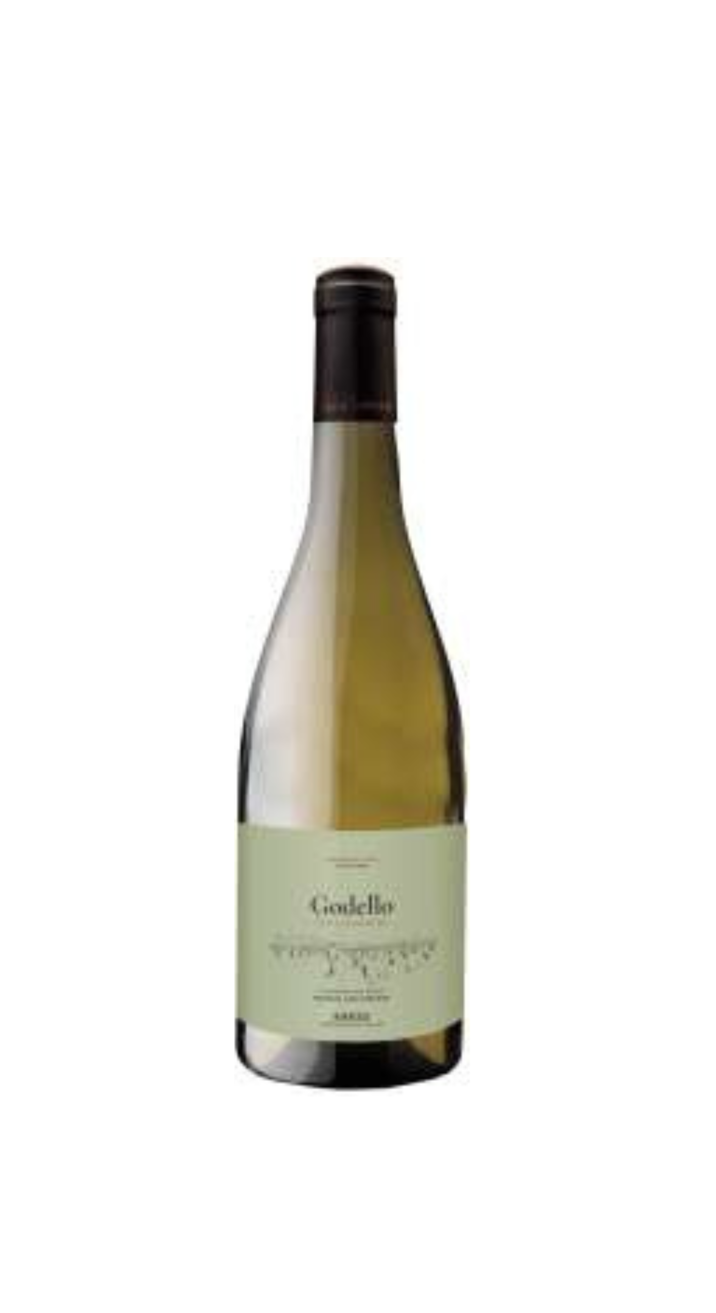 LUNA BEBERIDE GODELLO 2025