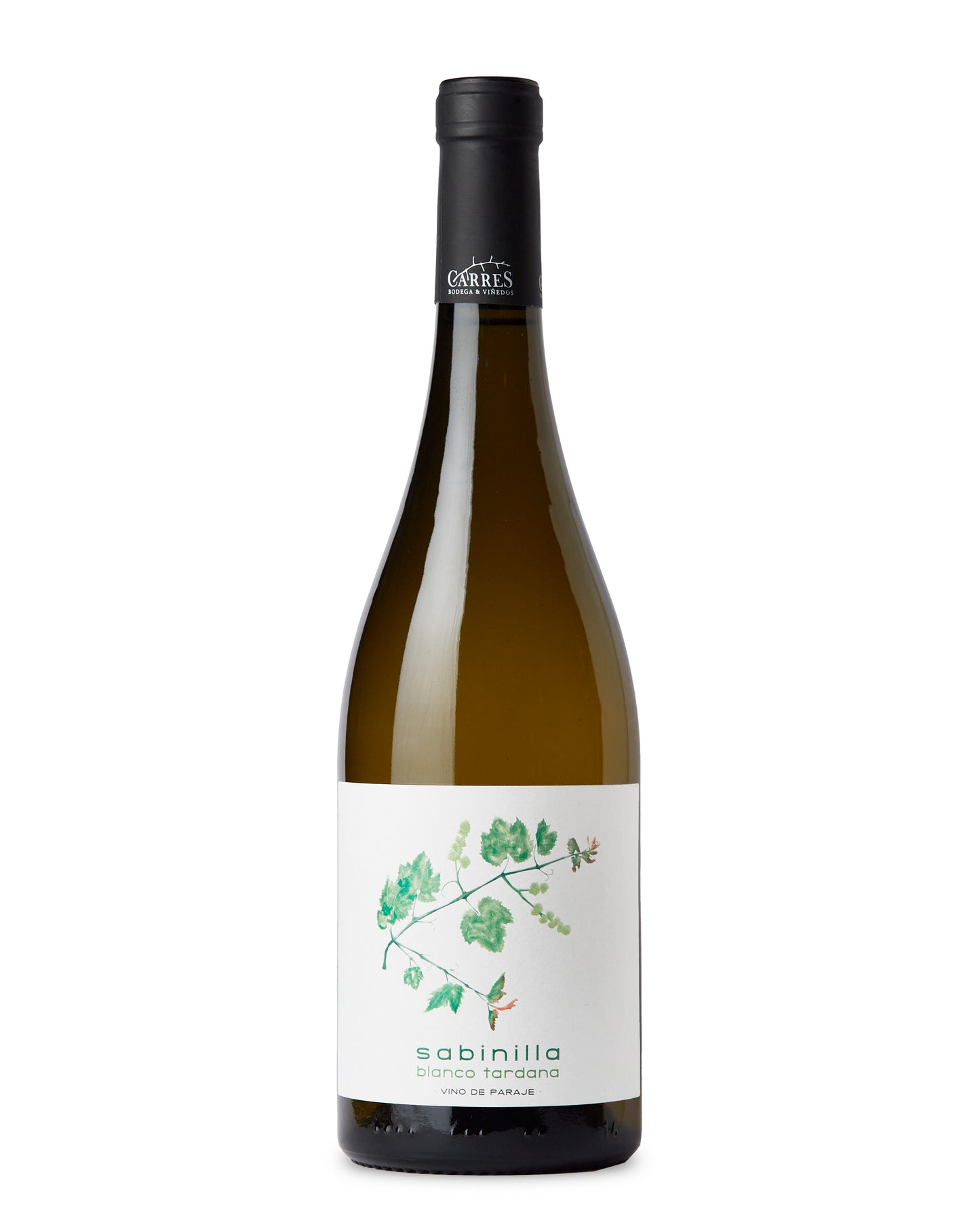 SABINILLA TARDANA 2022