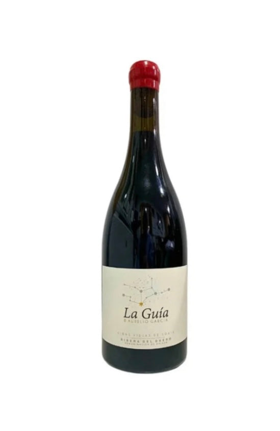 LA GUIA DE AURELIO GARCIA 2021