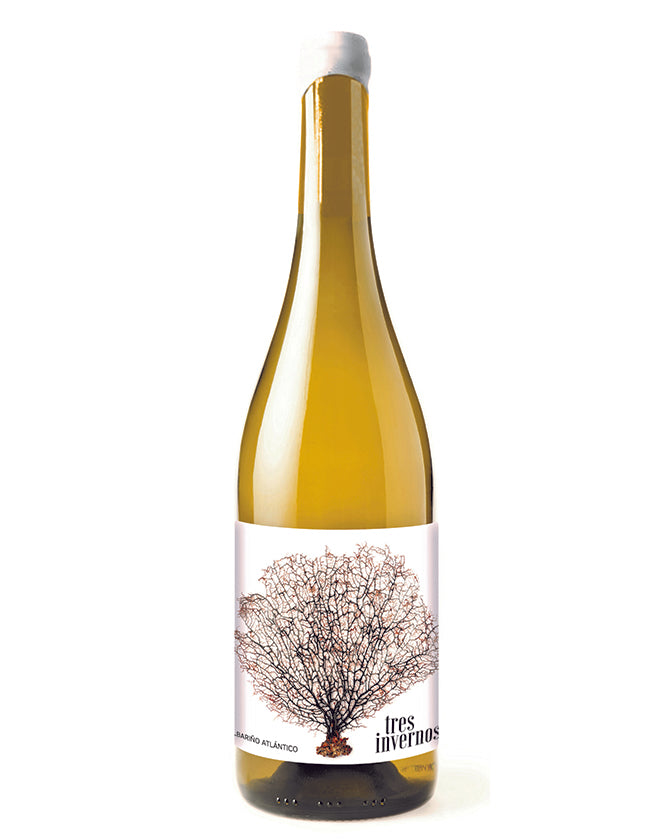 OS DUNARES TRES INVERNOS 2021