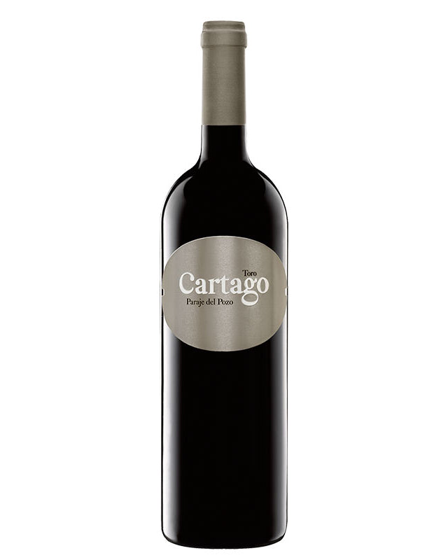 Cartago 2020
