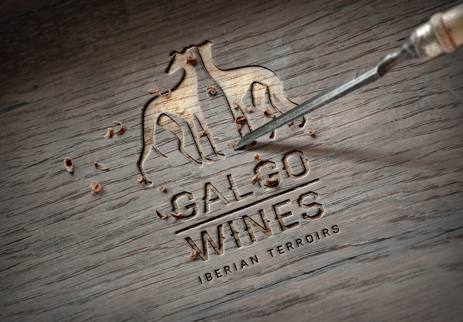 GALGO WINES
