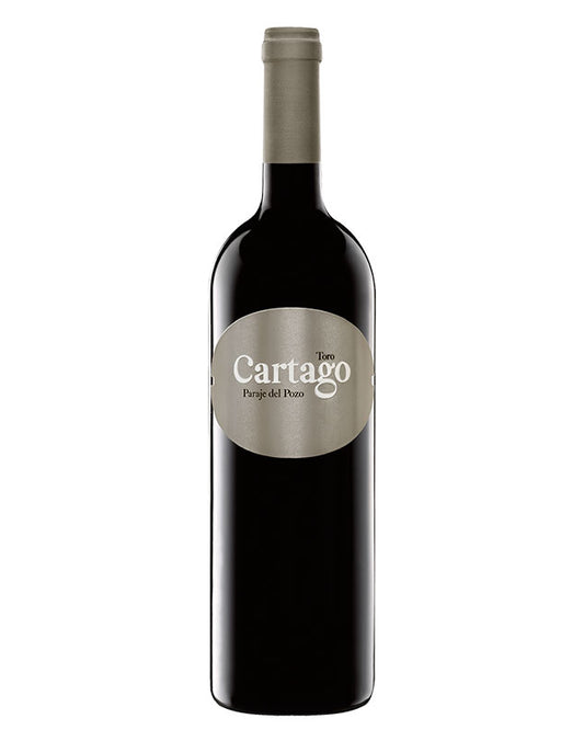 Cartago 2019